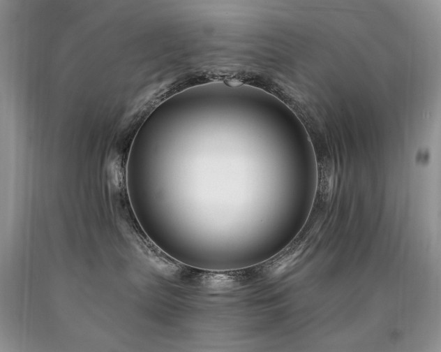 X0000090760287200707201510