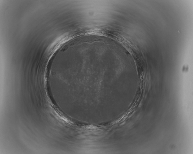 X0000090760290200707201509