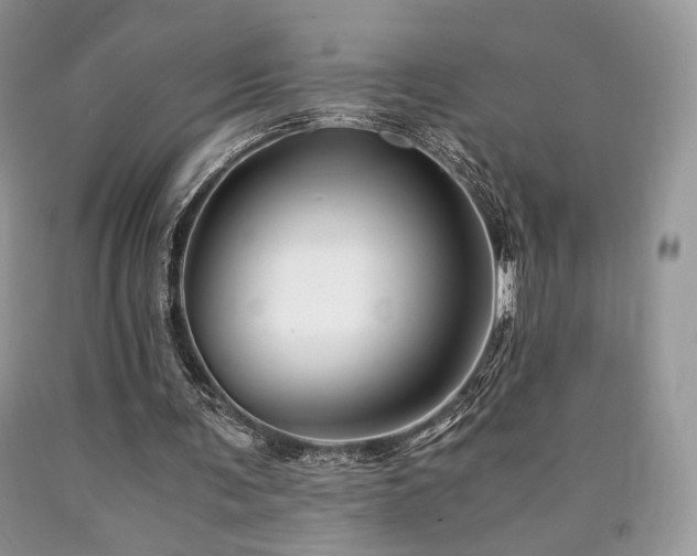 X0000090760291200707201509