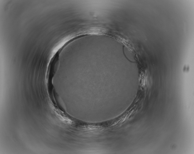 X0000090760292200707201509