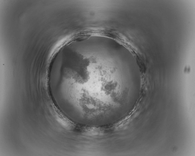 X0000090760293200707201509