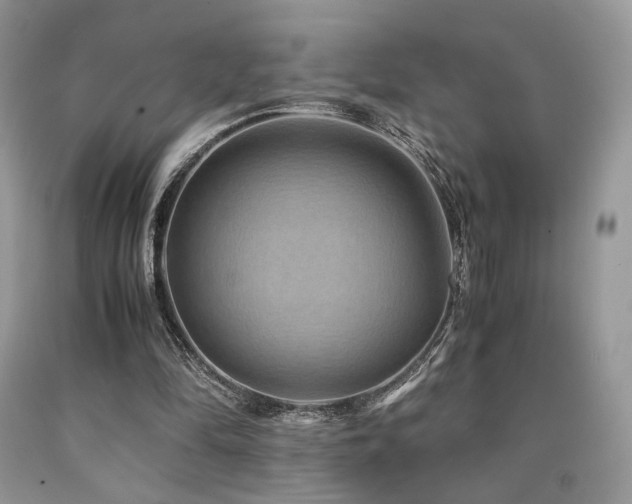 X0000090760294200707201509