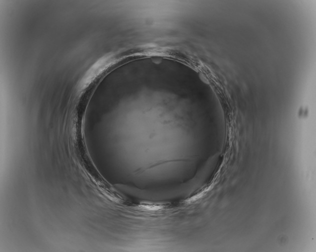 X0000090760295200707201509