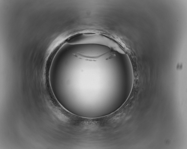 X0000090760296200707201509