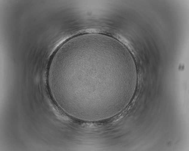 X0000090760297200707201509