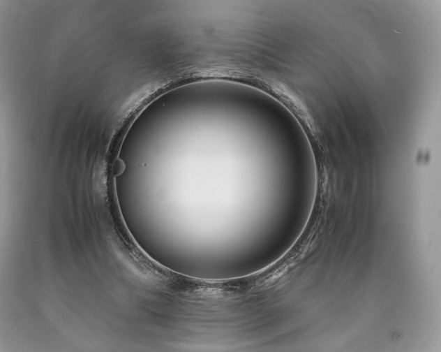 X0000090760298200707201509