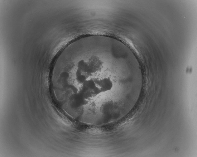 X0000090760299200707201509