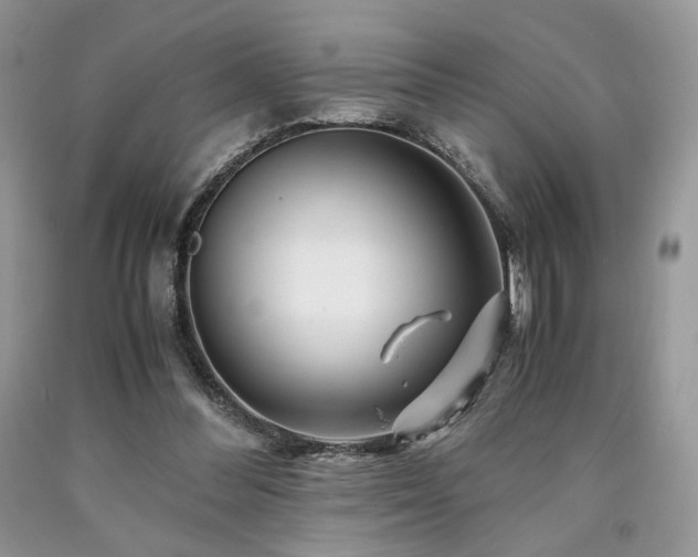 X0000090760300200707201509