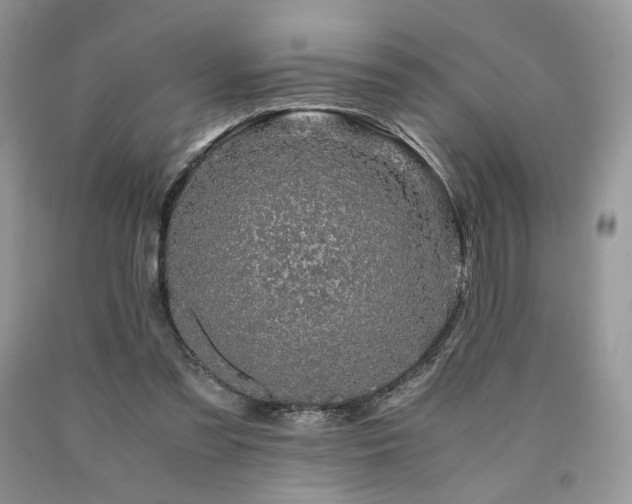 X0000090760301200707201509