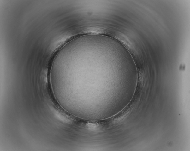 X0000090760302200707201509