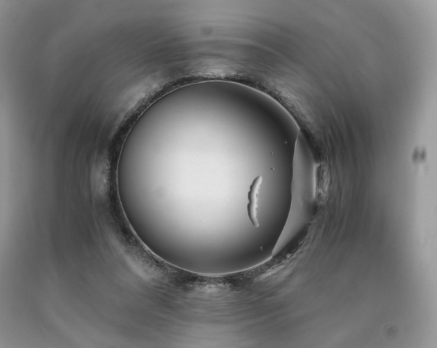 X0000090760304200707201509