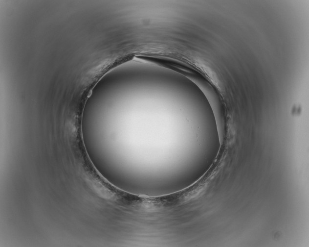 X0000090760305200707201509