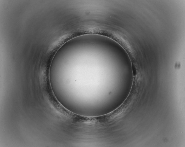 X0000090760306200707201509