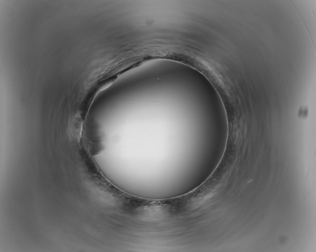 X0000090760307200707201509