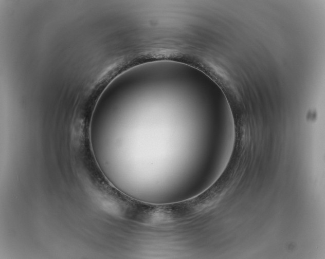 X0000090760308200707201509