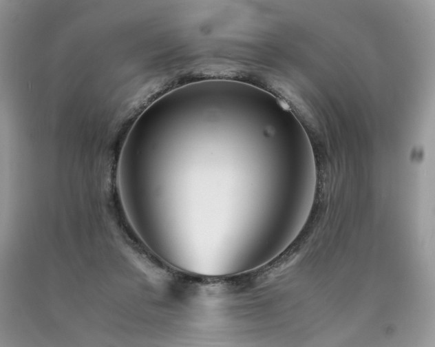 X0000090760309200707201509