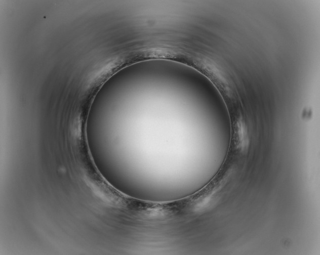 X0000090760310200707201509