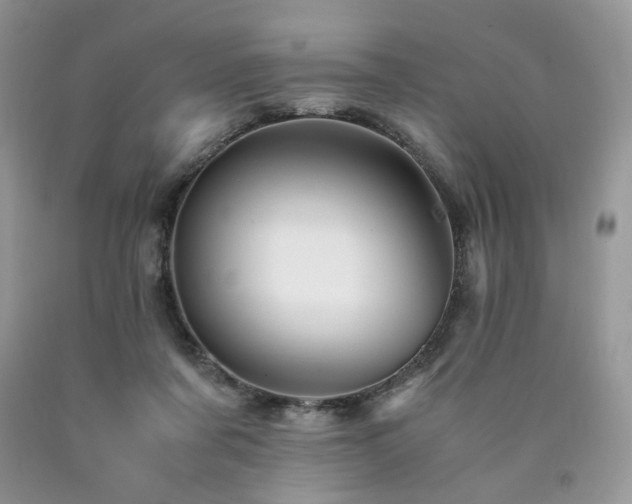 X0000090760311200707201509