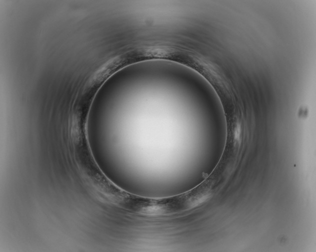 X0000090760312200707201509