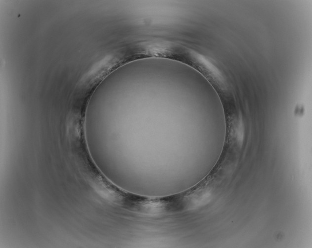 X0000090760313200707201509