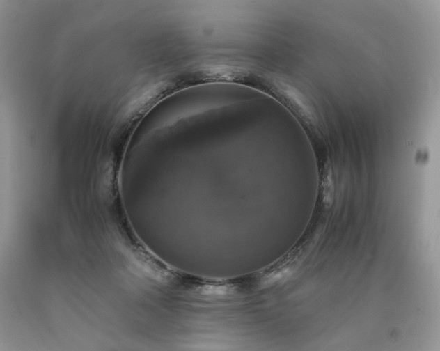 X0000090760314200707201509