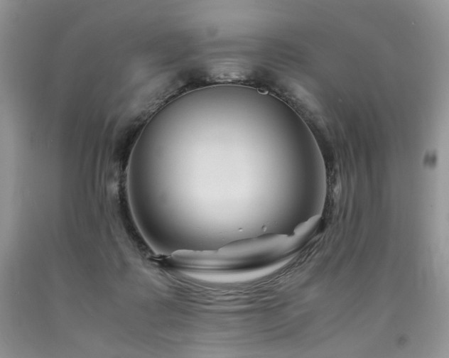 X0000090760315200707201509