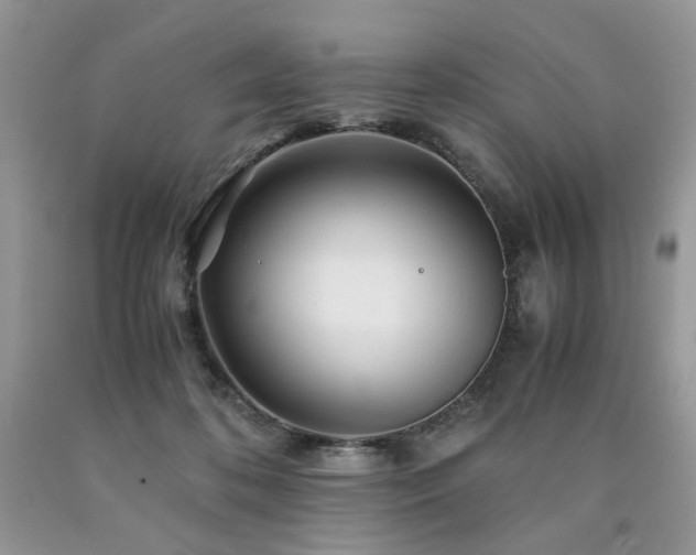 X0000090760316200707201509