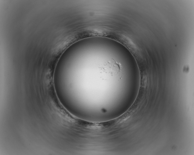 X0000090760318200707201509