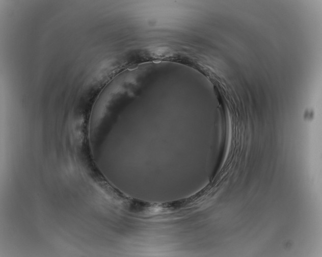 X0000090760319200707201509