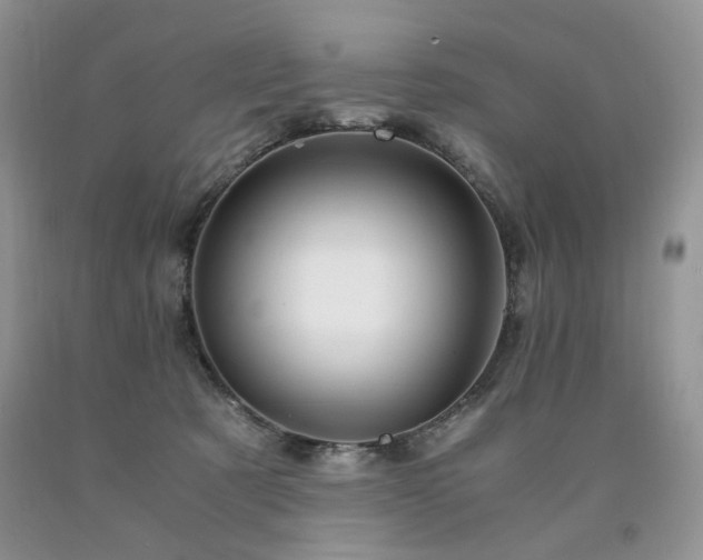 X0000090760321200707201509