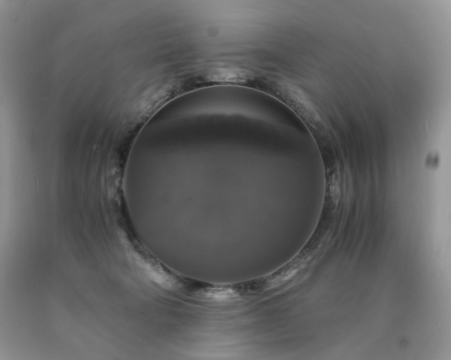 X0000090760322200707201509