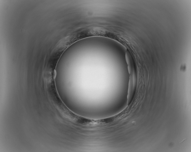 X0000090760323200707201509