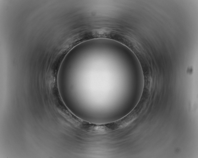 X0000090760324200707201509