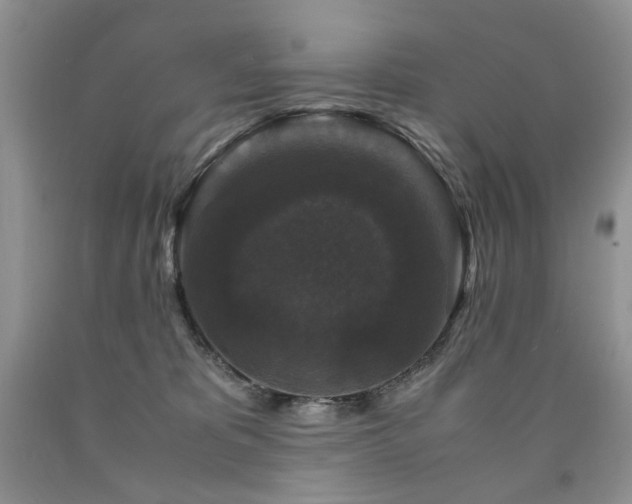 X0000090760325200707201509