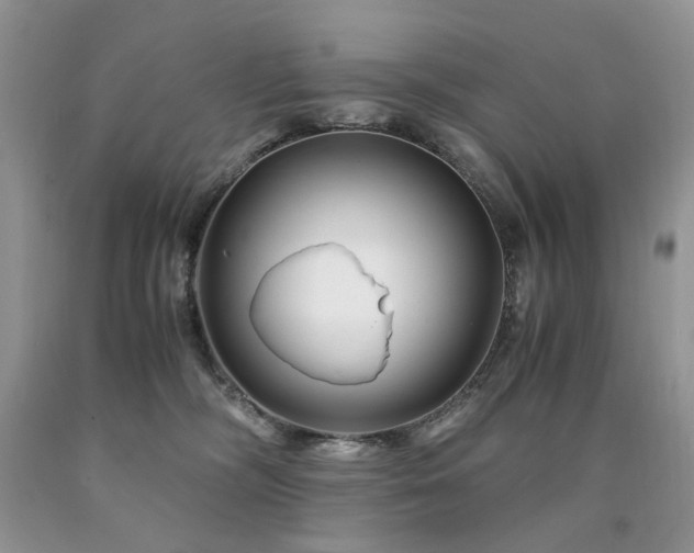 X0000090760326200707201509