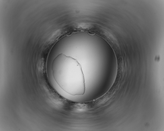 X0000090760328200707201509