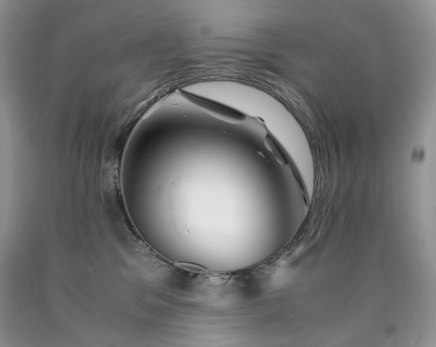 X0000090760329200707201509