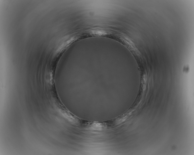 X0000090760330200707201509