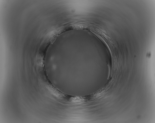 X0000090760331200707201509