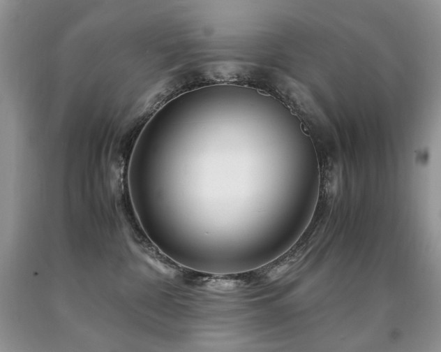 X0000090760332200707201509