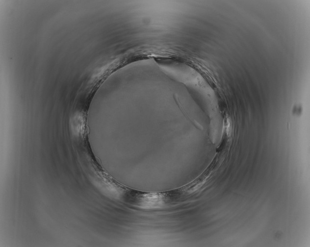 X0000090760335200707201509