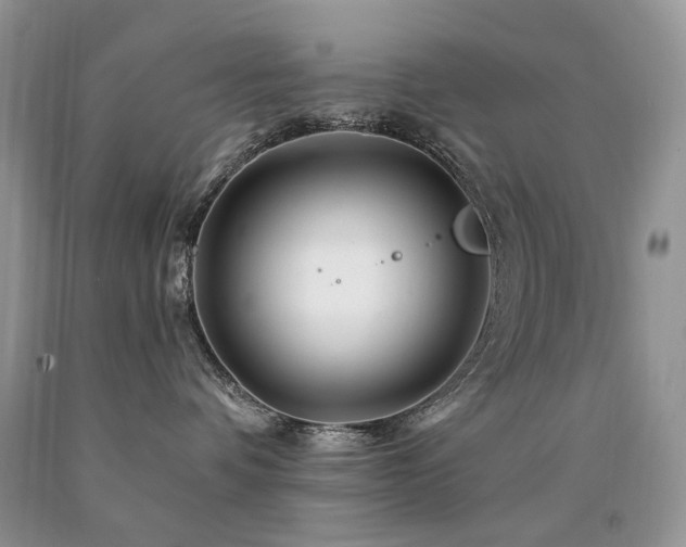 X0000090760336200707201509