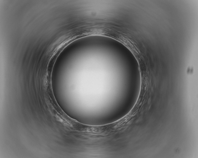 X0000090760338200707201508