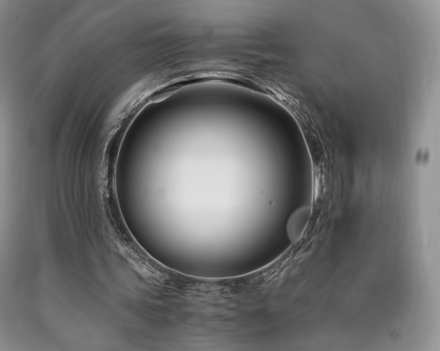 X0000090760339200707201508