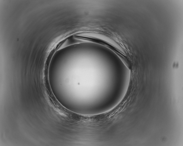 X0000090760340200707201508