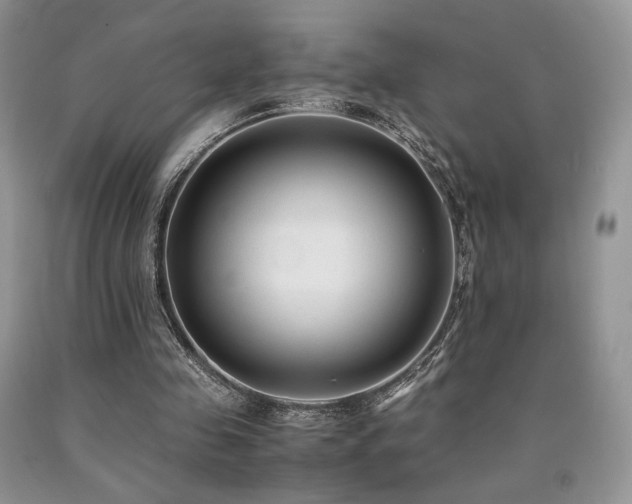 X0000090760341200707201508