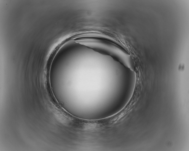 X0000090760342200707201508