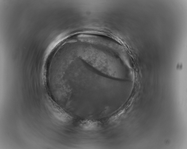 X0000090760343200707201508