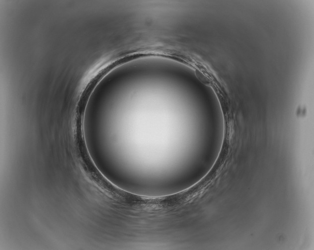 X0000090760344200707201508