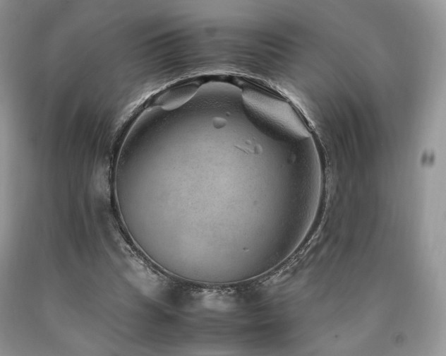 X0000090760345200707201508